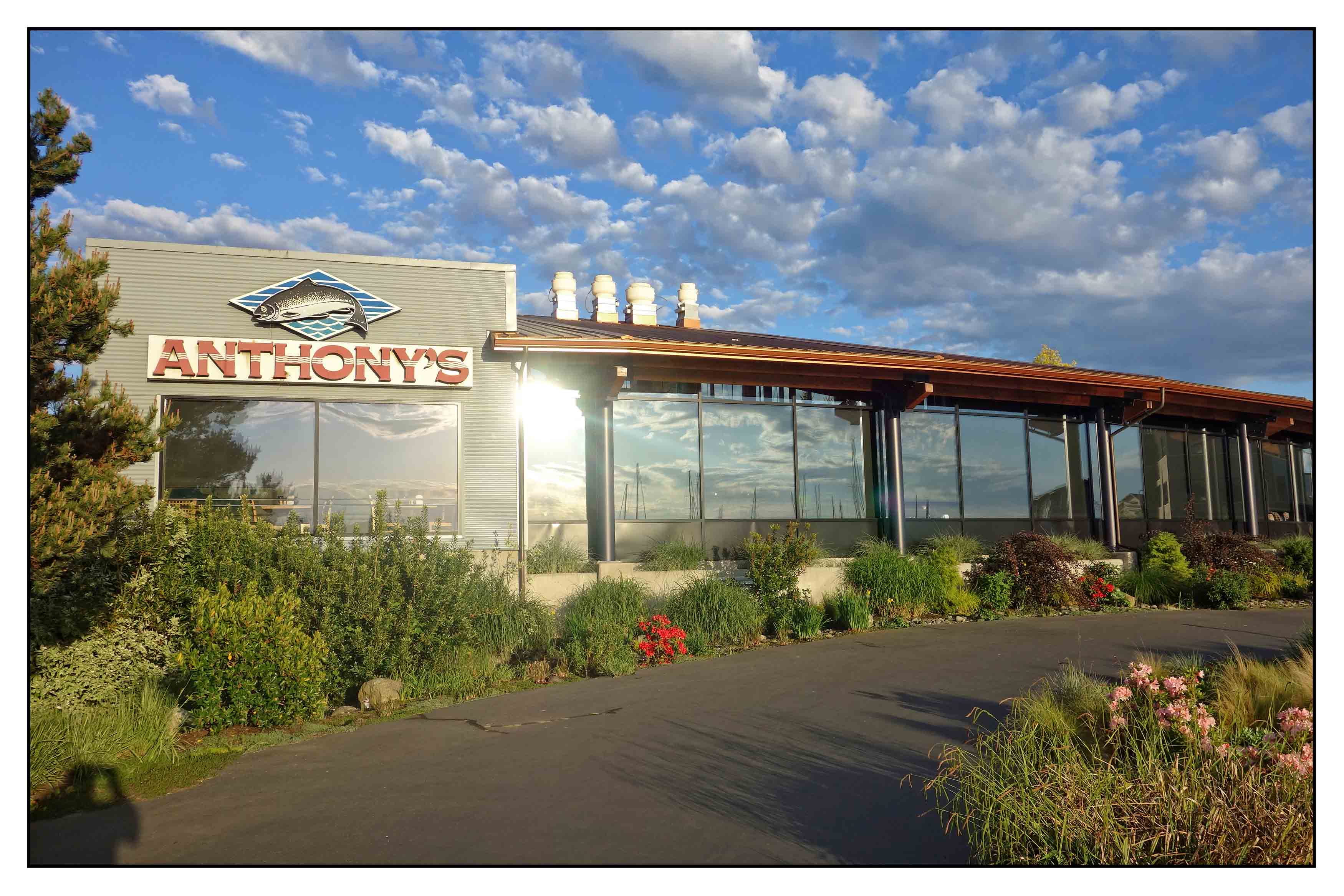 Top Dining Bellingham WA Always Stir