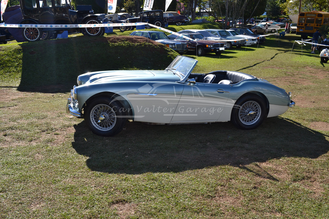 EncBrasAutosAntigos2015_73
