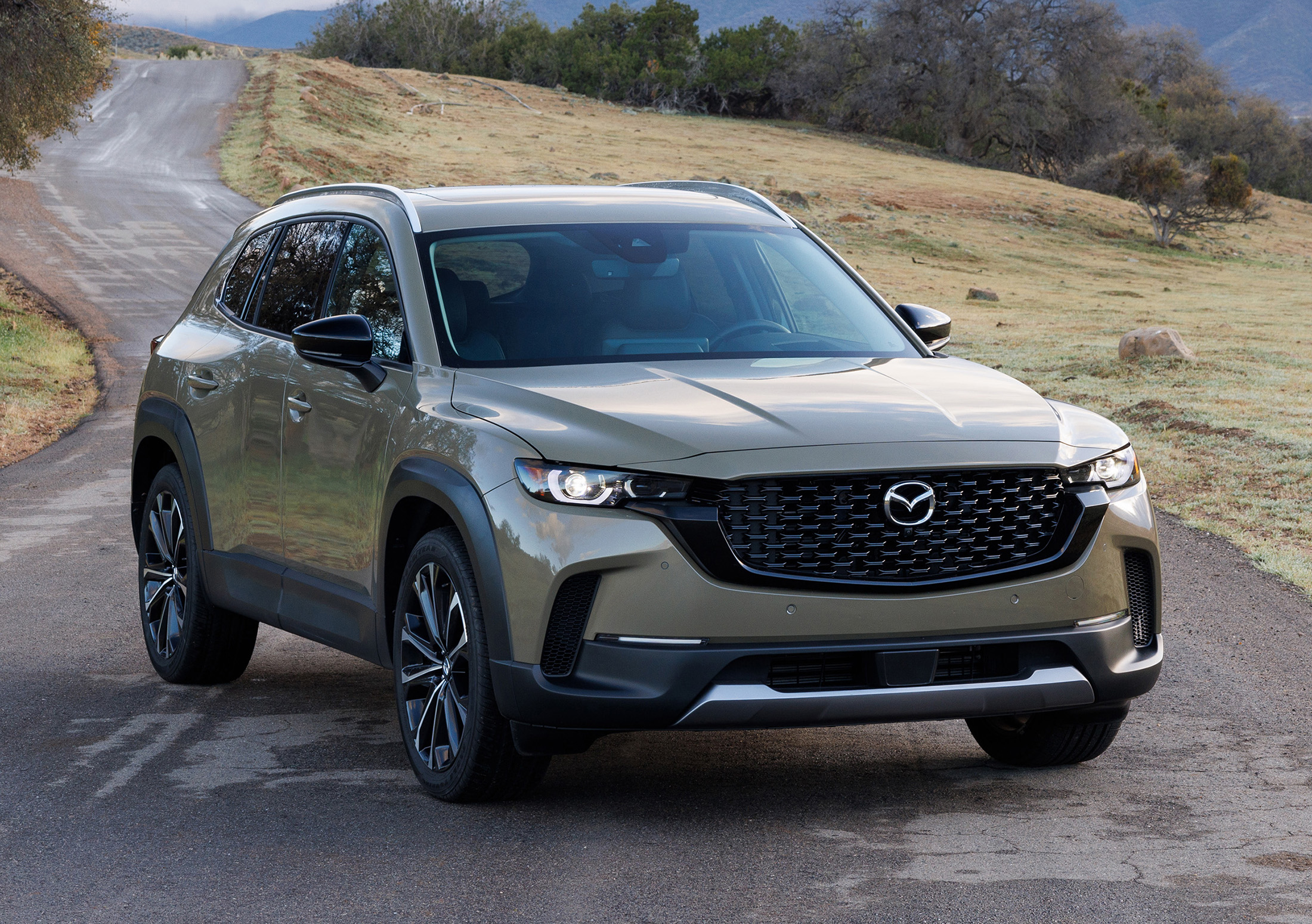 A Subtle Difference – Cargazing