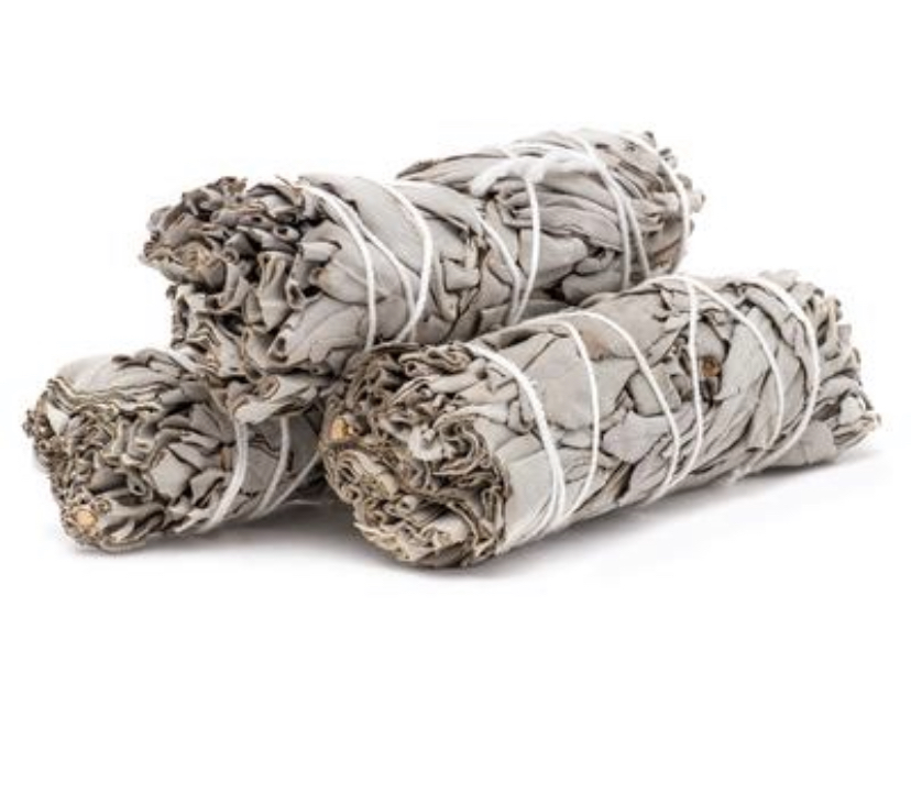 White Sage CaribbeanRawHerbs