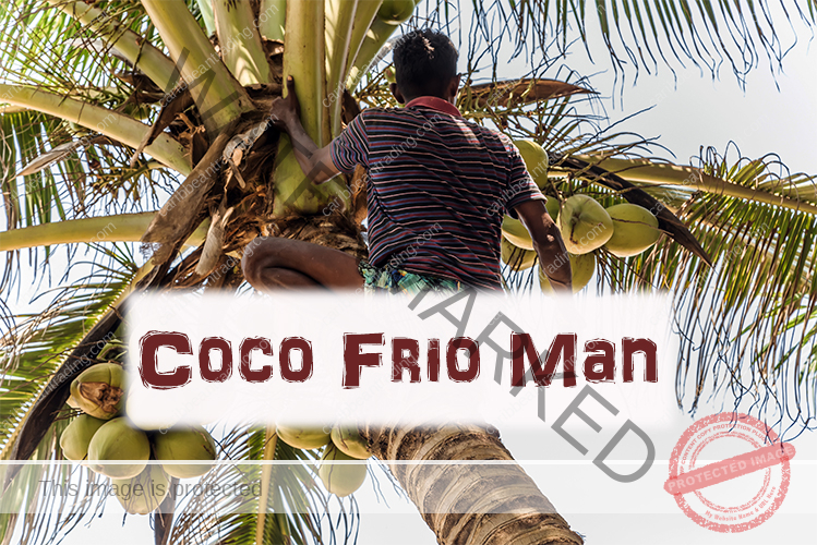 Coco Frio (Cold Coconut Water) Puerto Rico & Caribbean Travel News