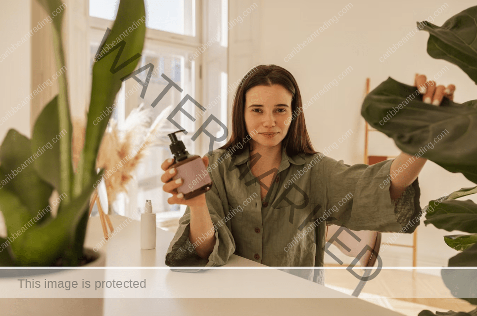 Best Room Spray Bottles from the Caribbean