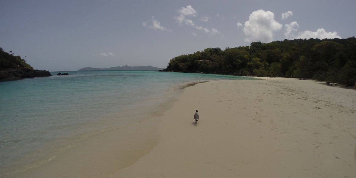 St Thomas vs St John What Island is Better in 2023? Caribbean Uncovered