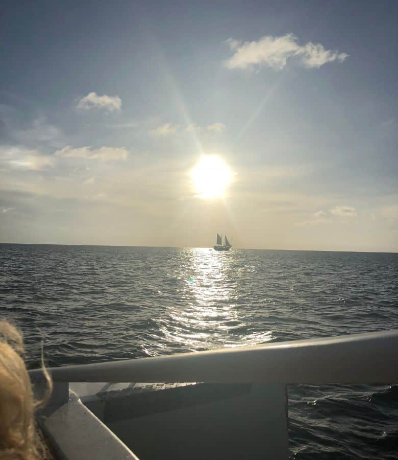 Should I Rent a Car in Aruba in 2023? Caribbean Uncovered