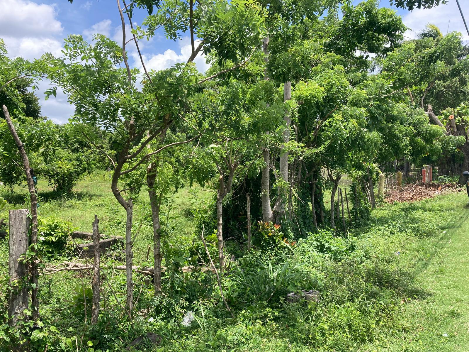Land For Sale for sale in Cabarete
