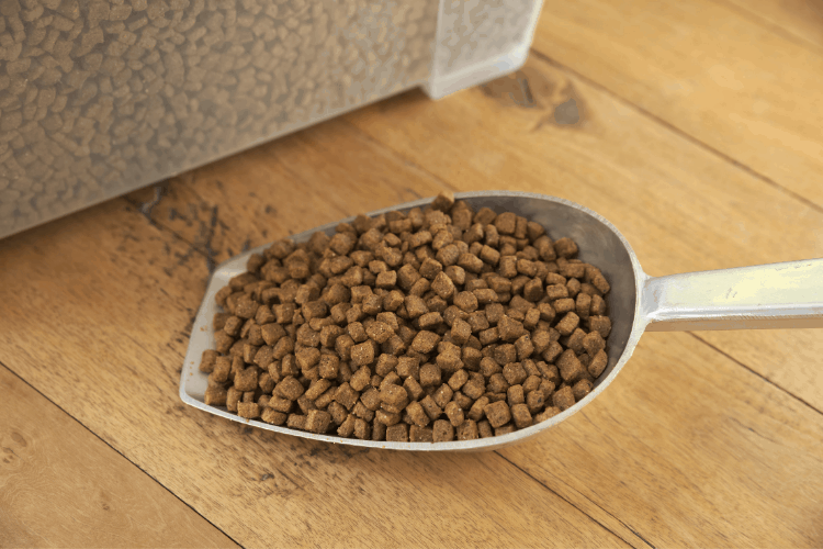 The Best Dog Food Storage Containers Caring For A Dog