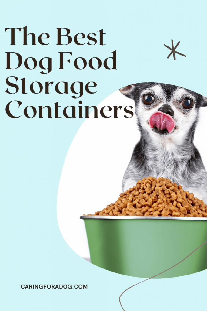 The Best Dog Food Storage Containers Caring For A Dog