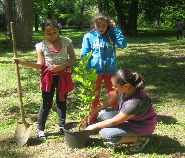 Tree Planting Project Caring For our watersheds