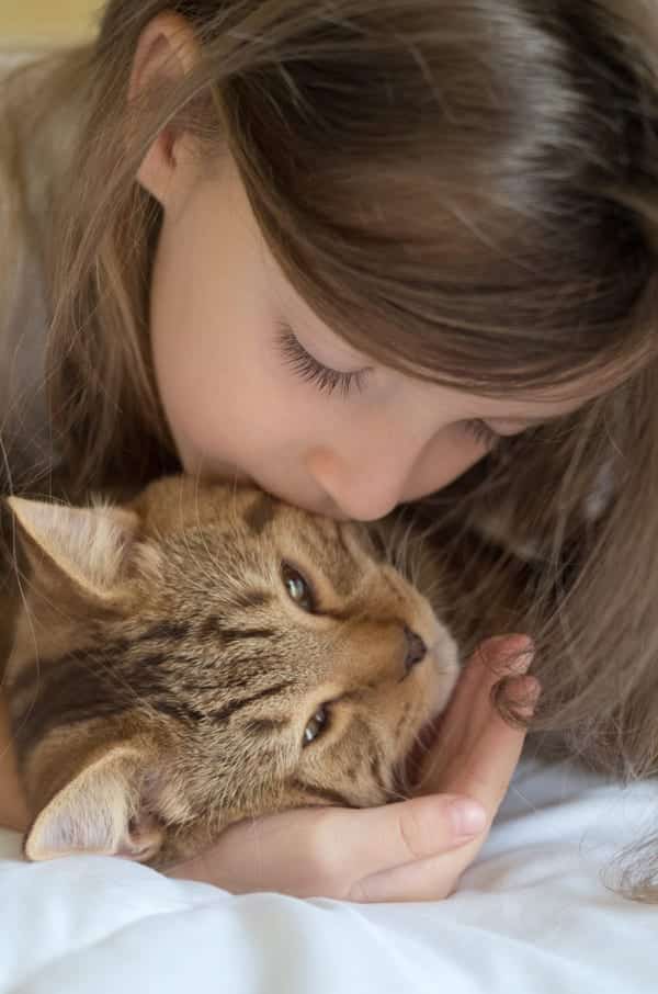 Inhome Pet Euthanasia Caring Pathways