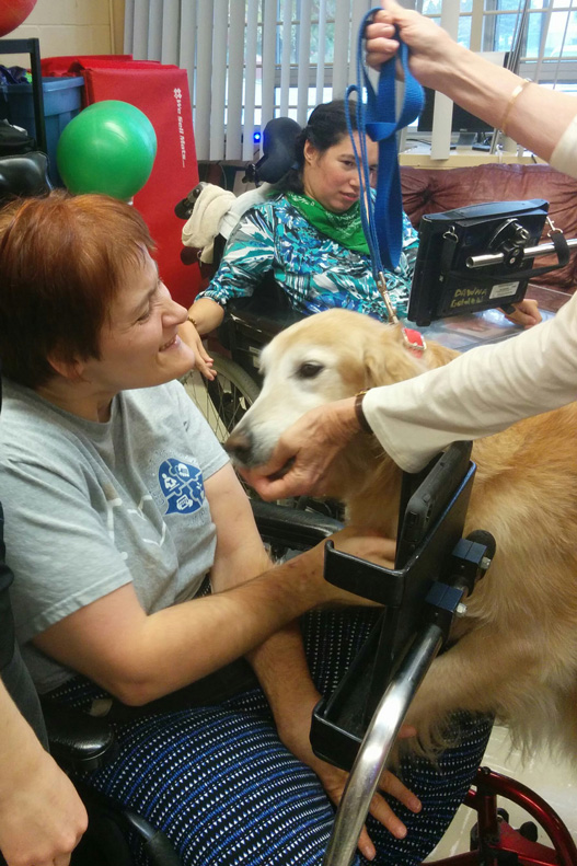 Gallery Caring Paws Animal Therapy