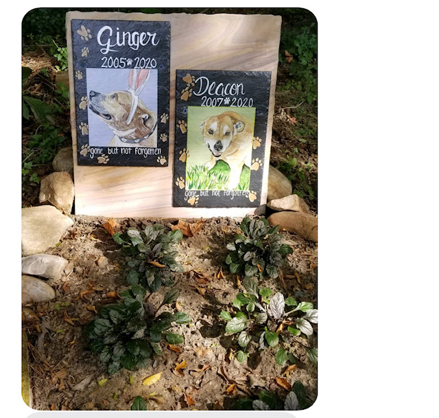 IMG_5256 Caring Pet Cremation Services, Richmond, VA