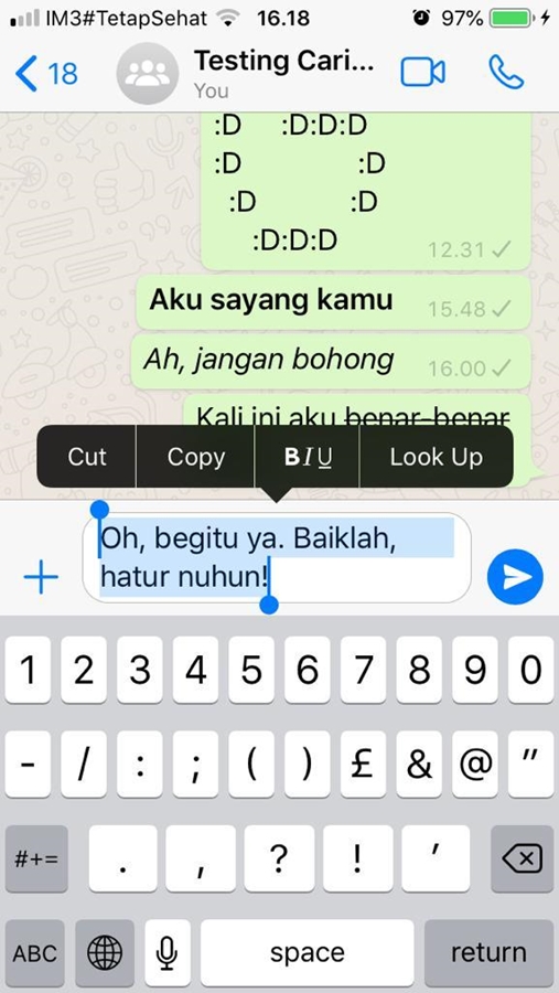 Cara Variasi Tulisan WhatsApp agar Chatting Tak Membosankan