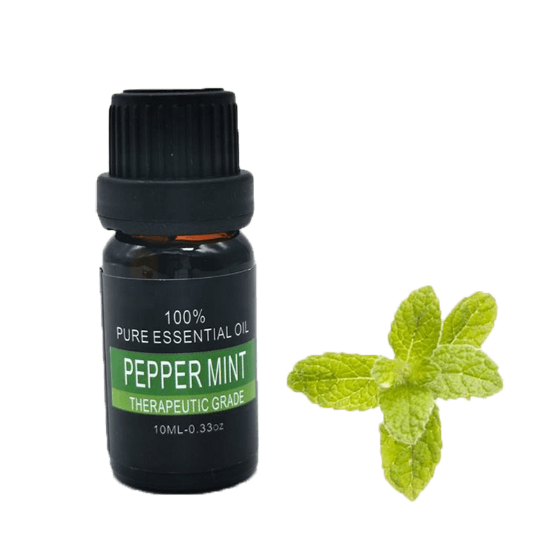 Peppermint Essential Oil Wholesale SupplierCarkinaroma