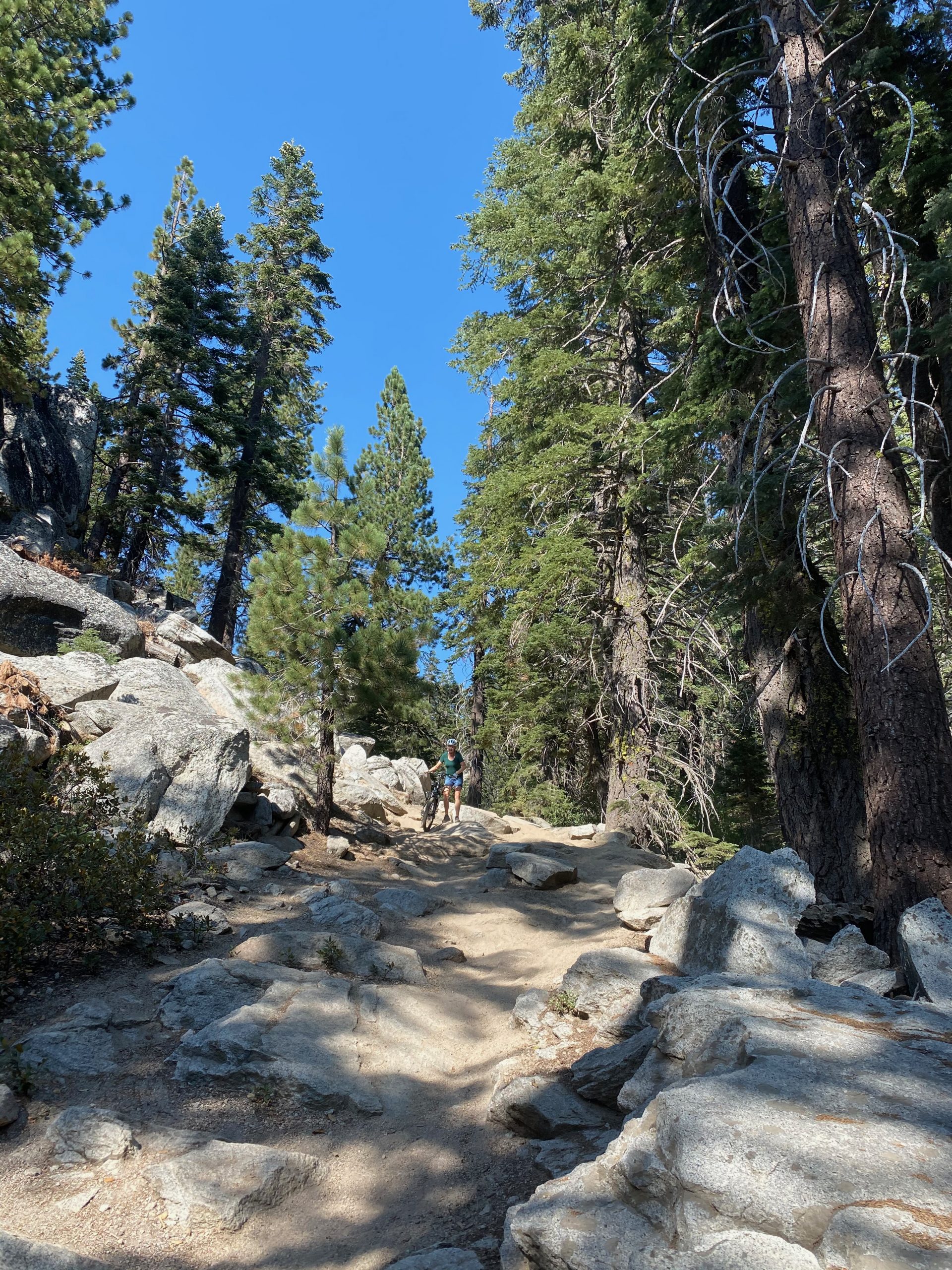 Notes from North Lake Tahoe, Nevada