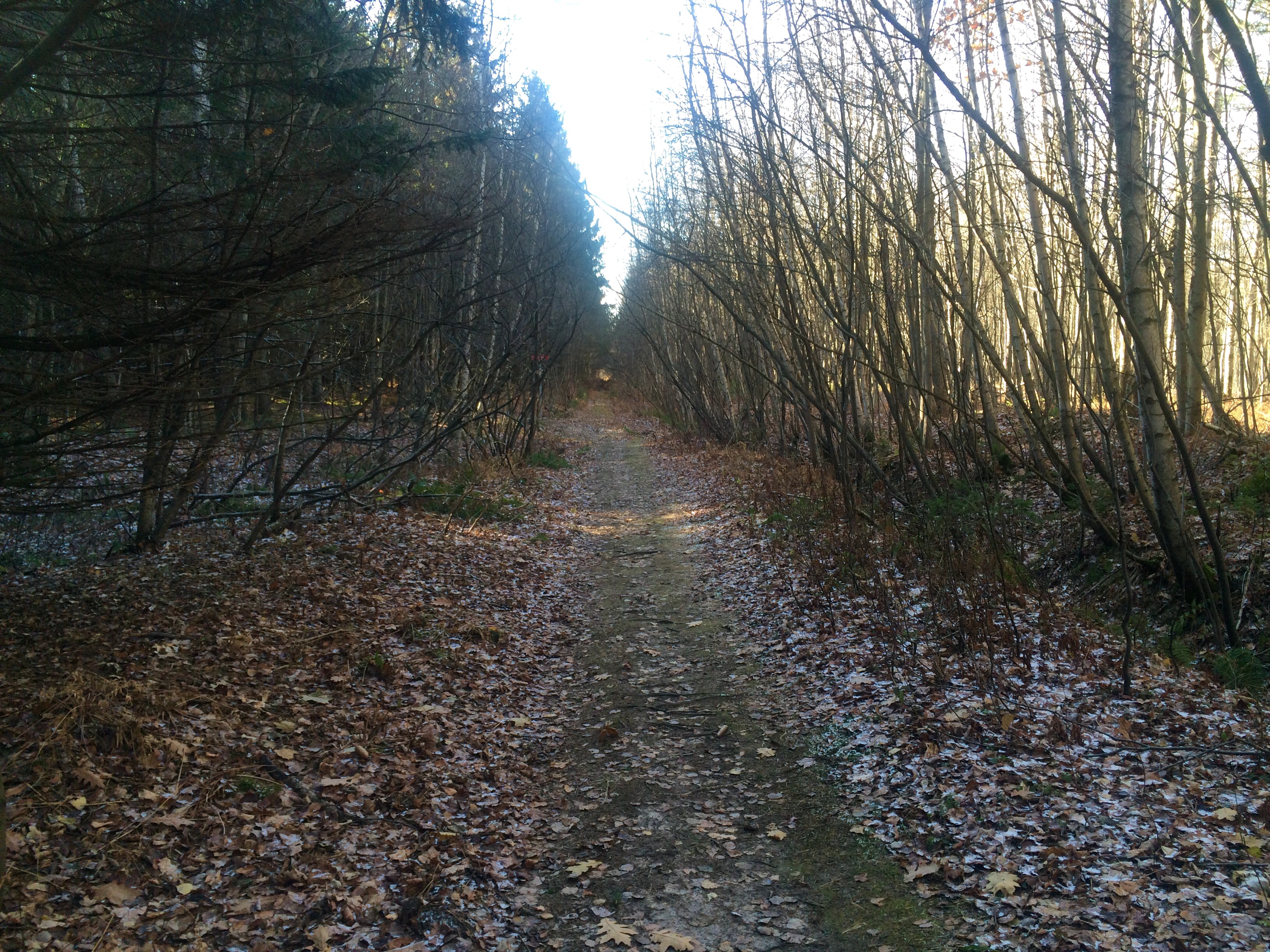 Day trip to Drummondville, Quebec Carlas Canvas