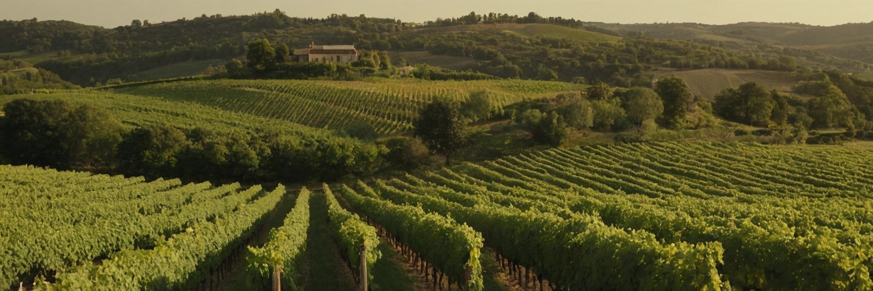 MERENI SEMI SWEET WHITE WINE