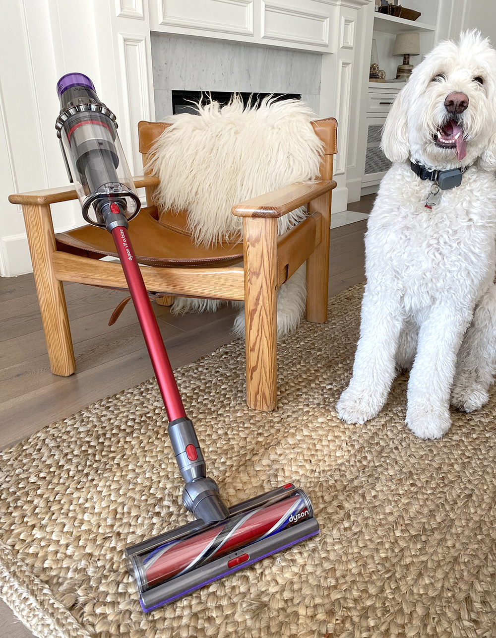 It's 2021, and my vacuum cleaner is my most important relationship