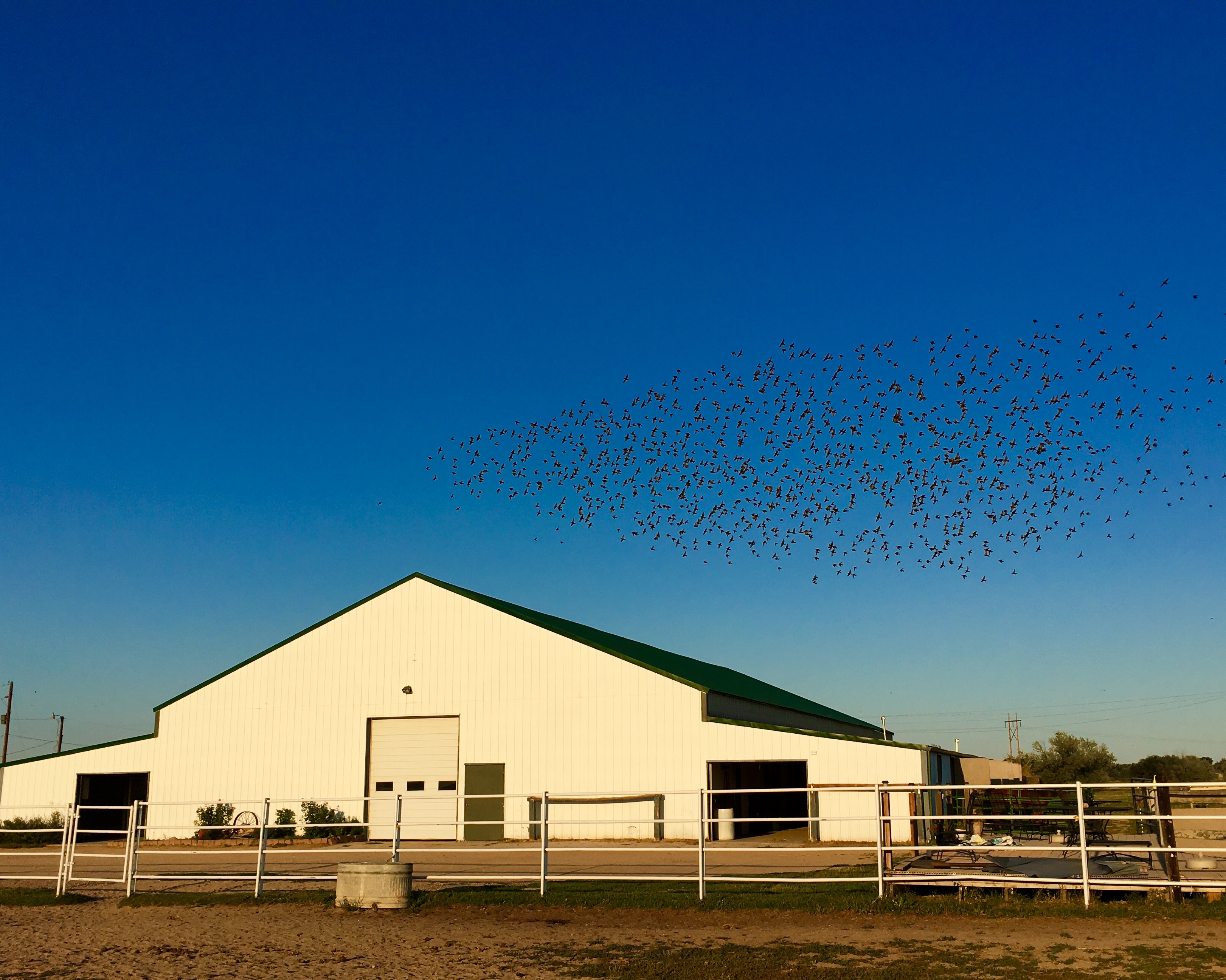 About Carlisle Equestrian Center