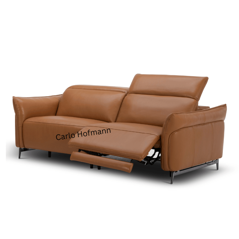 Leather Sofas In Singapore Leather Sofa Leather Sofas CarloHofmann