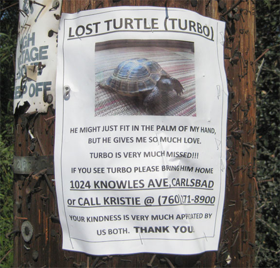 Community Bulletin Boards Carlsbad Art and Culture at Carlsbad Art