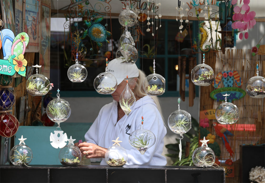 Carlsbad Village Street Faire 2012 Carlsbad Art and Culture at Carlsbad Art and Culture