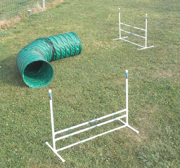 Dog Agility Equipment View Products CarlsonAgility