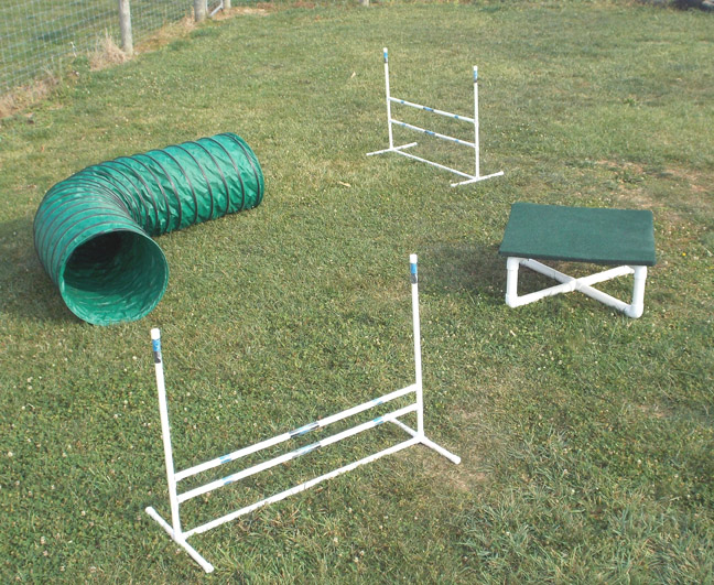 Dog Agility Training Equipment Starter Kits CarlsonAgility