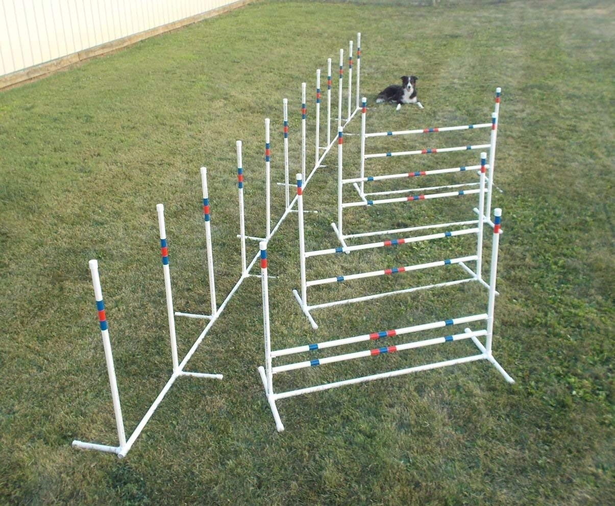 Agility Starter Kit A CarlsonAgility