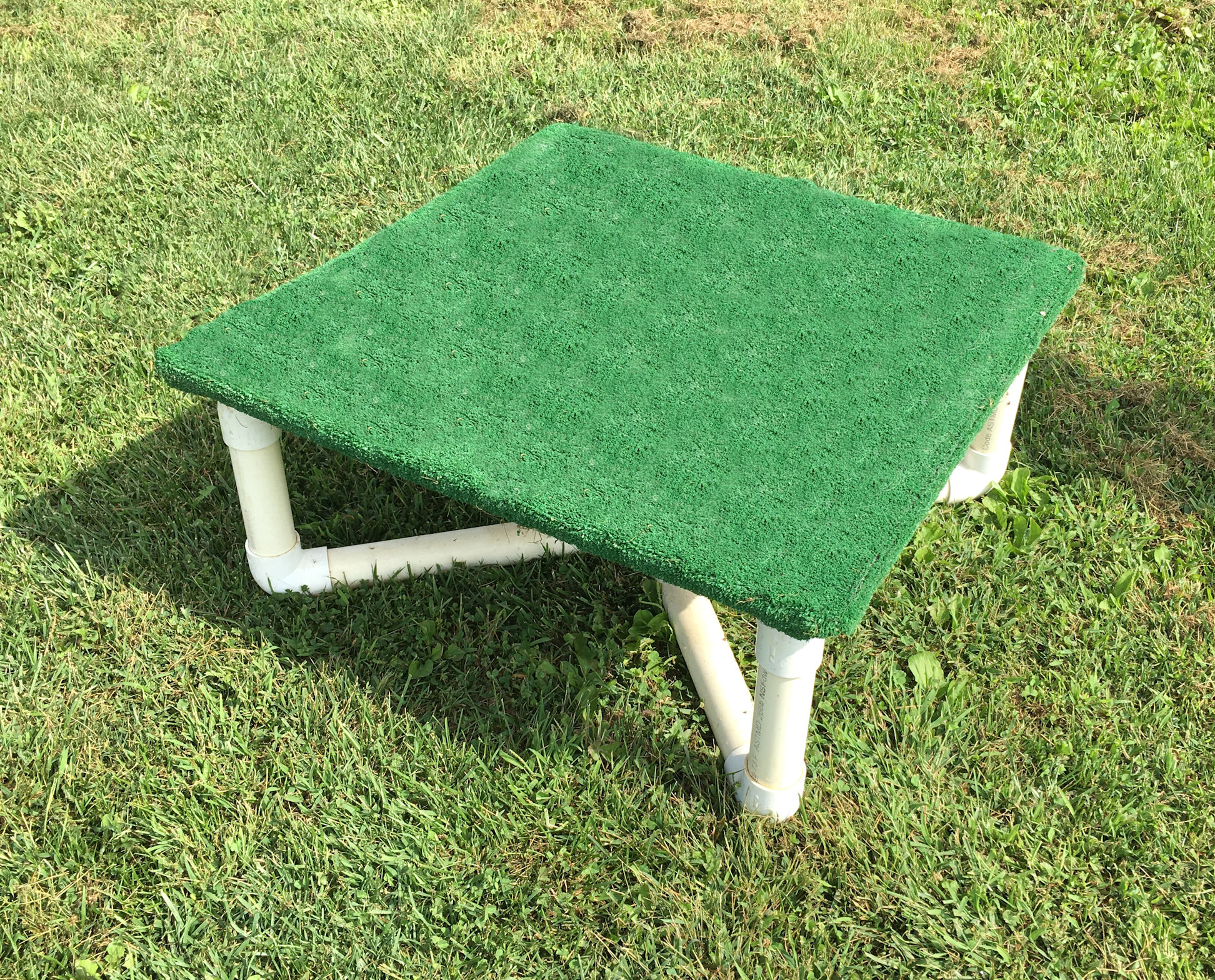 Dog Agility Pause Table CarlsonAgility