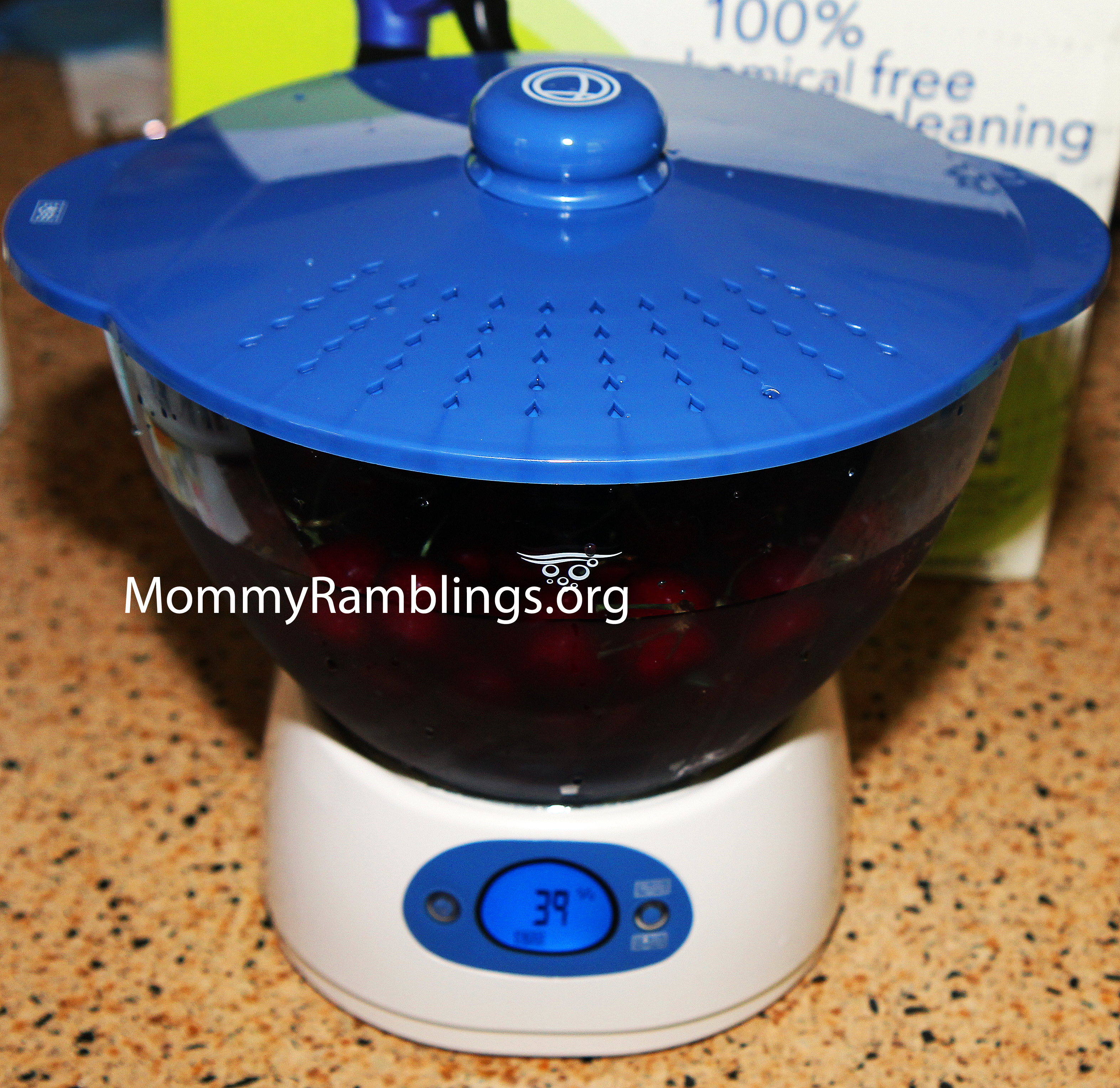 Lotus Home Cleaning Sanitizing System Review & GiveAway!!! {GiveAway