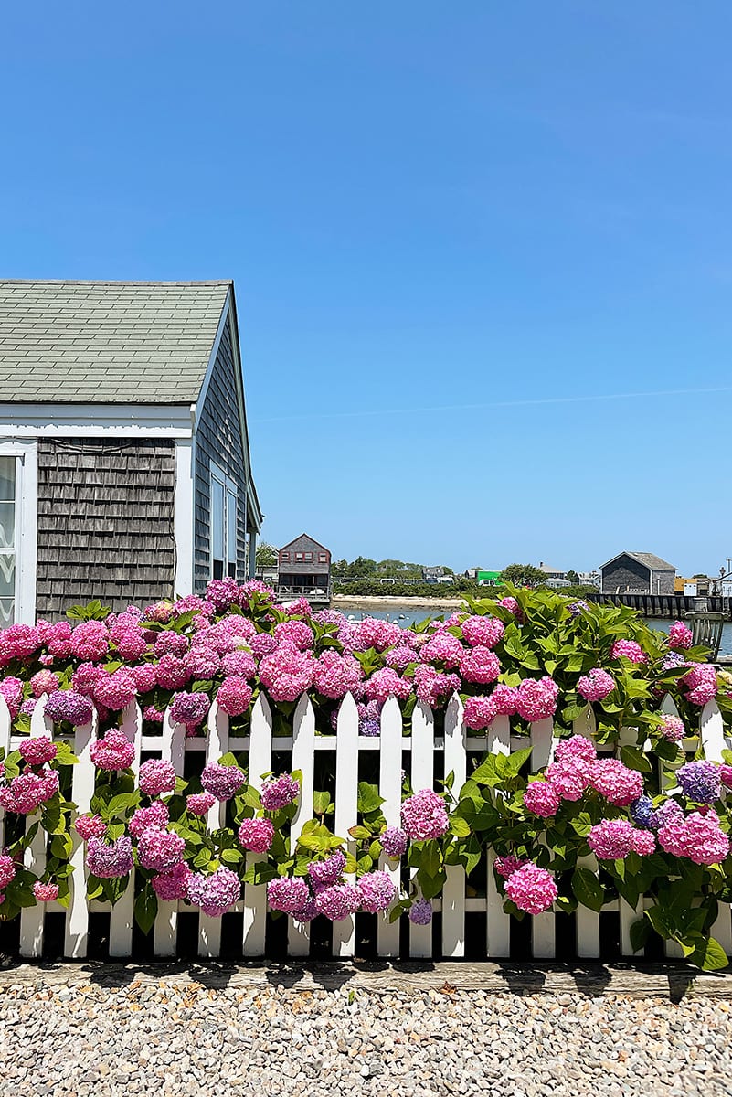 POSTCARDS FROM NANTUCKET CARLY Lifestyle Blog