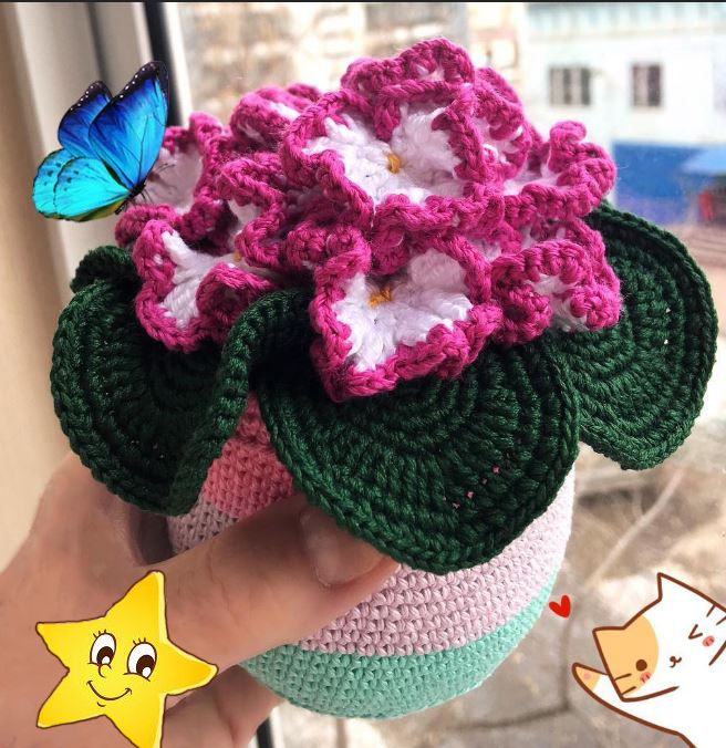 Crochet African Violet Flower Free Pattern Best Flower Site