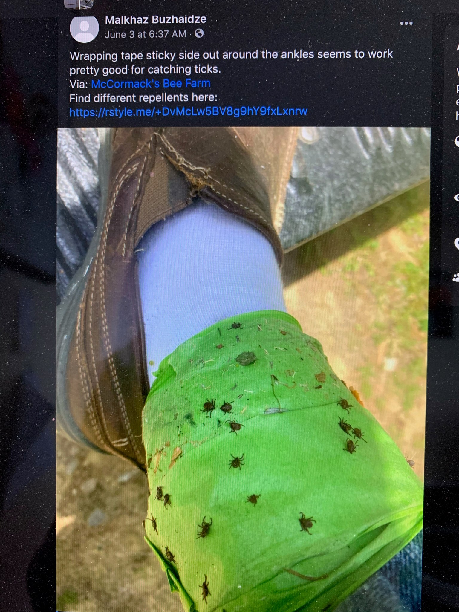 DIYHow to catch ticks this summer Journey