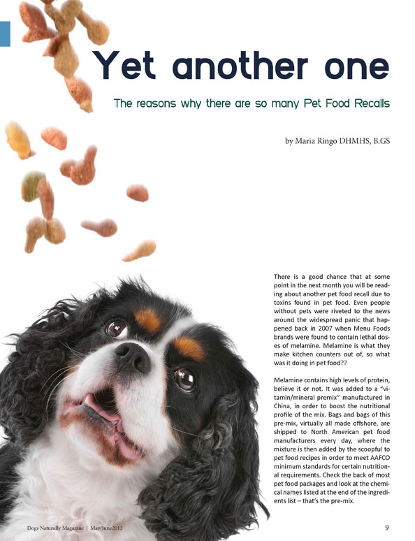 Yet Another One... Recall Article from Dogs Naturally Magazine by Maria