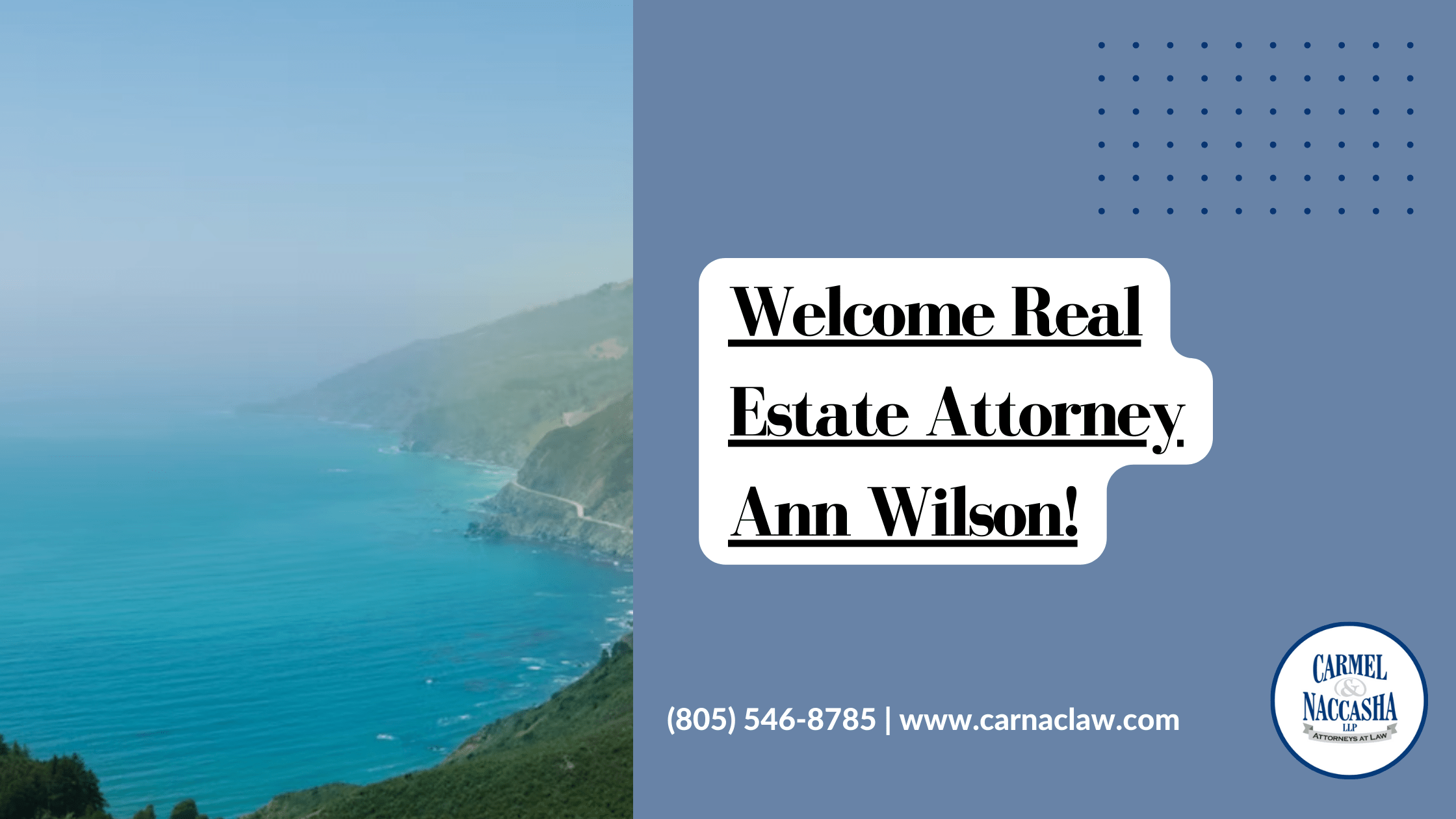 Real Estate Attorney, Ann Wilson! Carmel & Naccasha