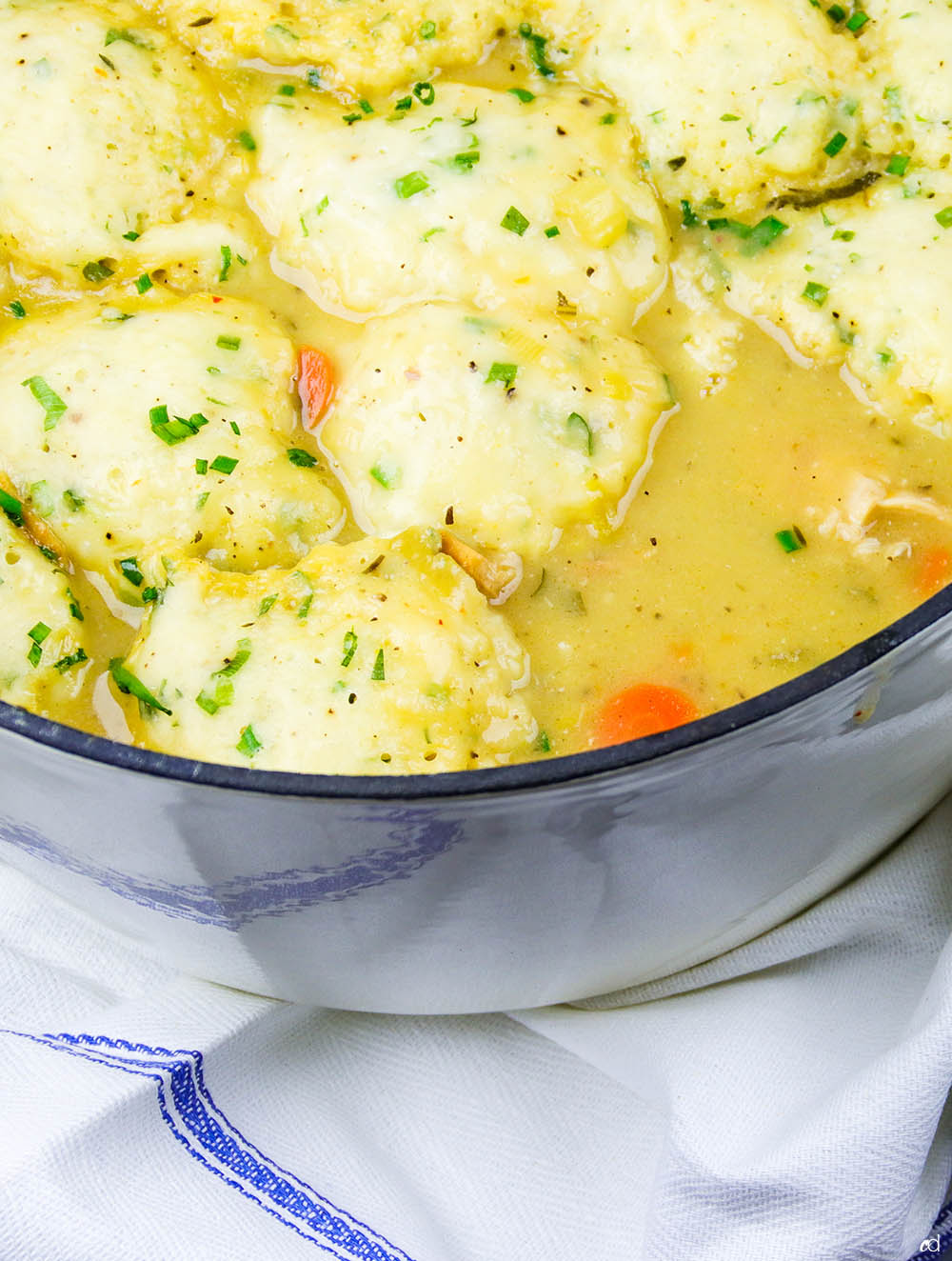 Roasted Chicken and Parmesan Herb Dumplings CarnalDish