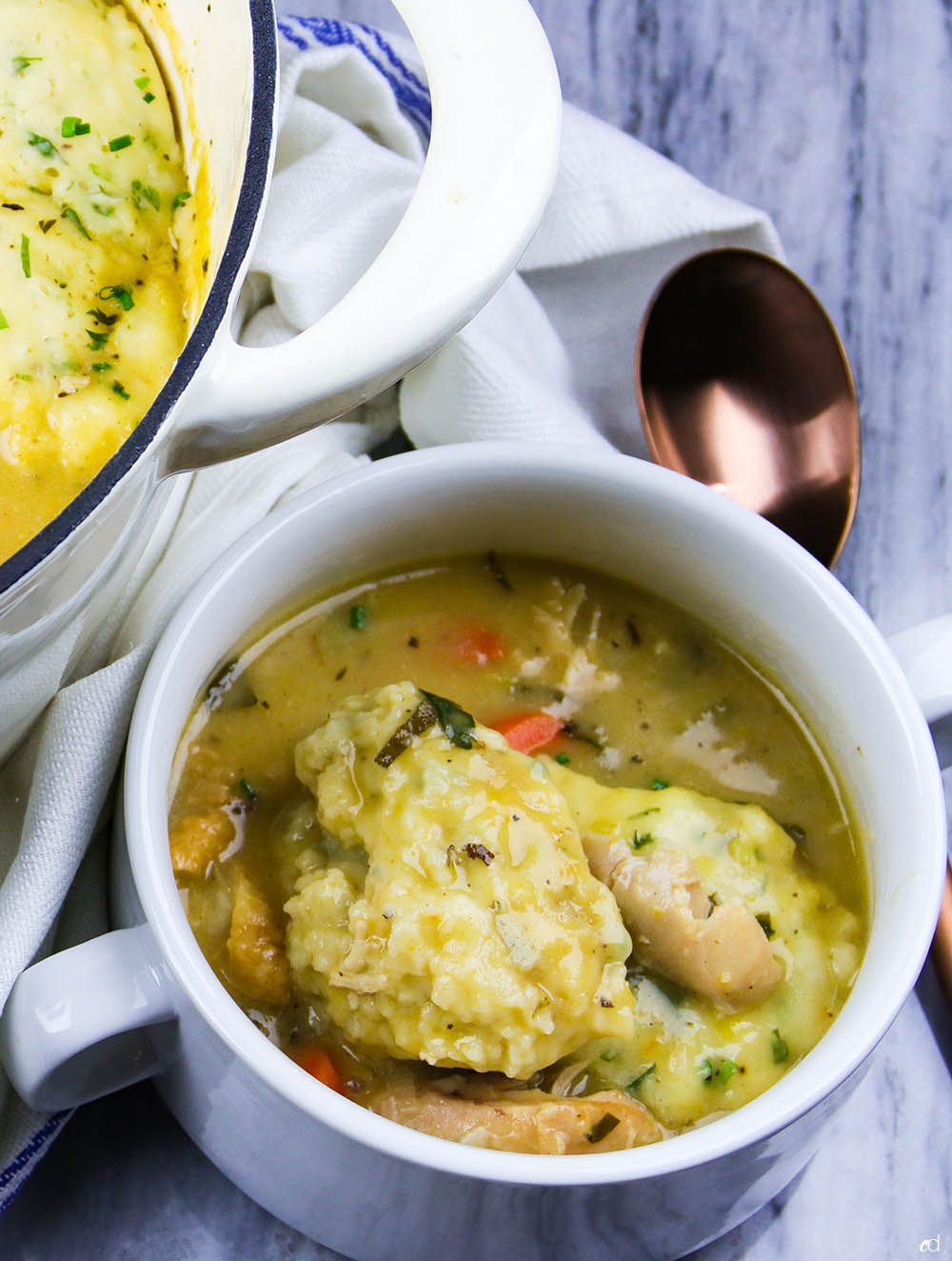 Roasted Chicken and Parmesan Herb Dumplings CarnalDish