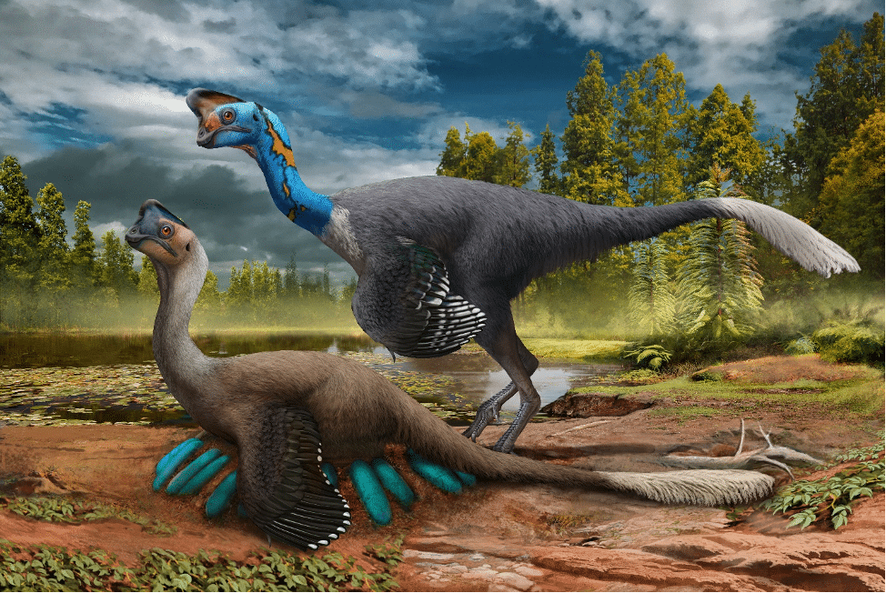 Researchers Announce World’s First Dinosaur Preserved Sitting on Nest