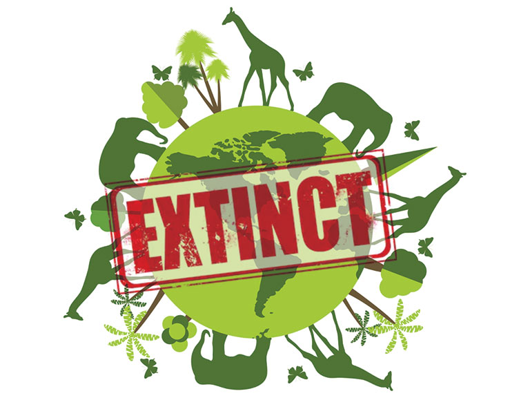 Five Things Summer 2019 Carnegie Magazine