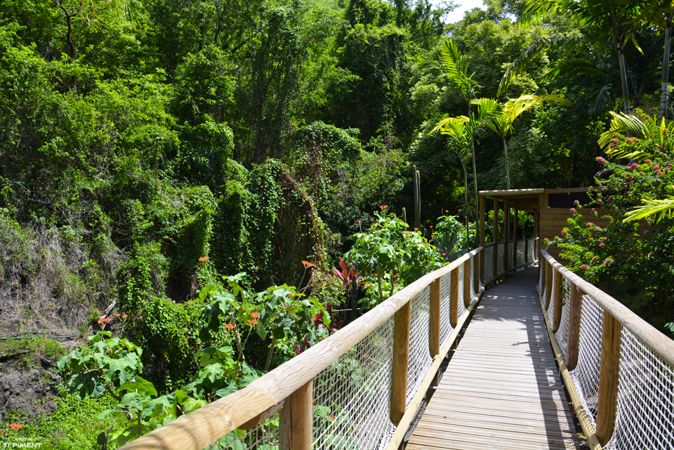 Ça vous dit une balade dans le nouveau parc zoologique de la Martinique