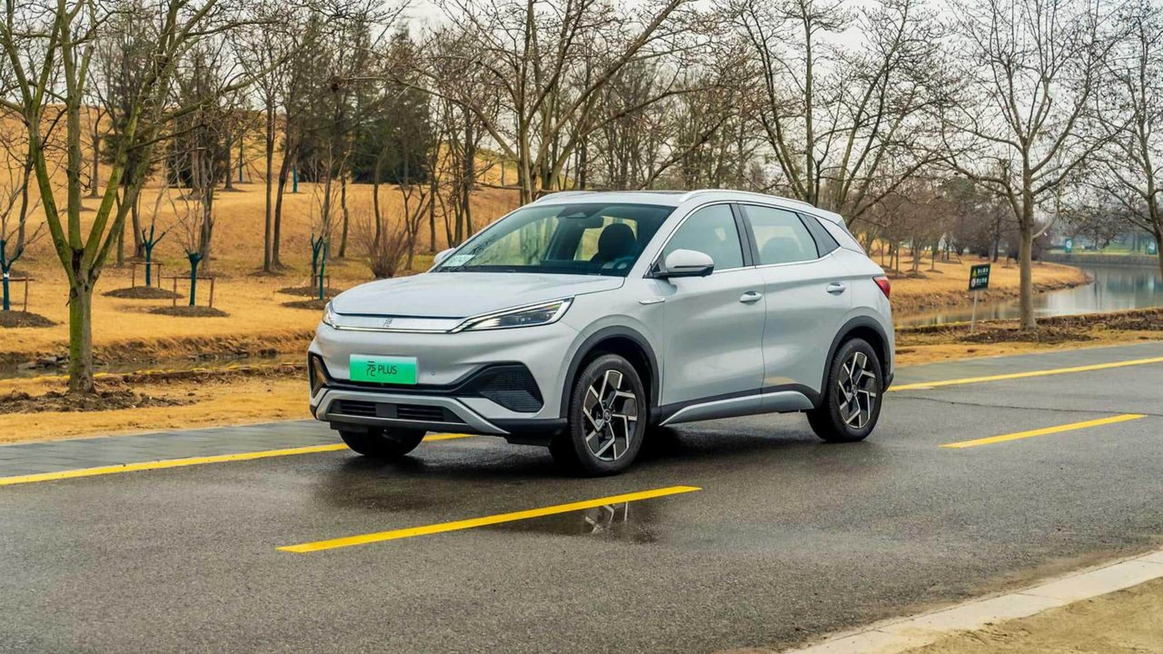 Chinese car companies BYD and Geely Lead Israeli Electric Vehicle Sales