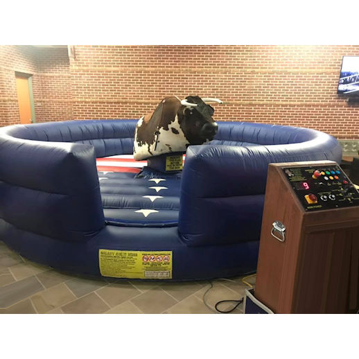 Mechanical Rodeo Bull Carnival Bounce Rental Party Rental & Bounce