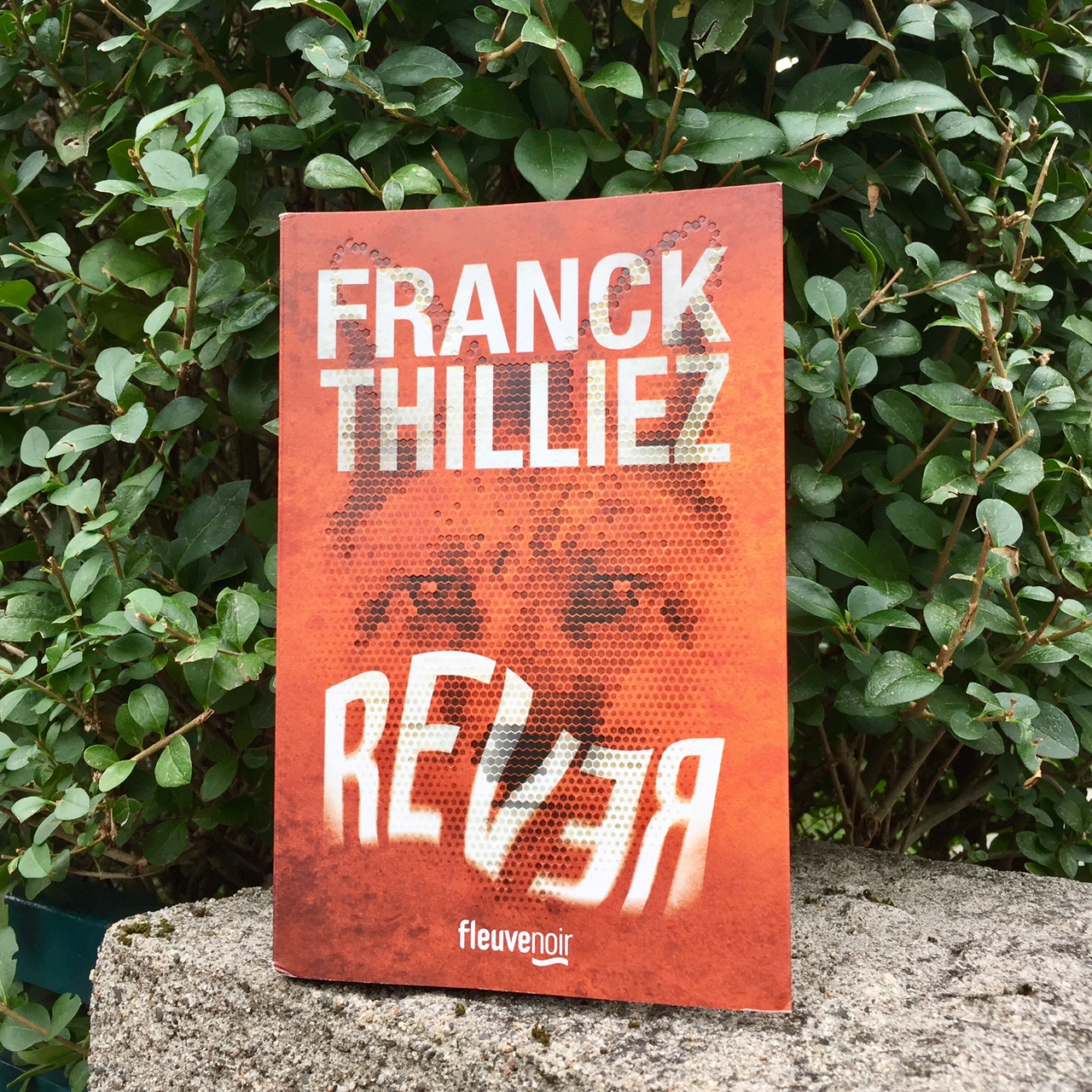 Rêver Franck Thilliez Carobookine