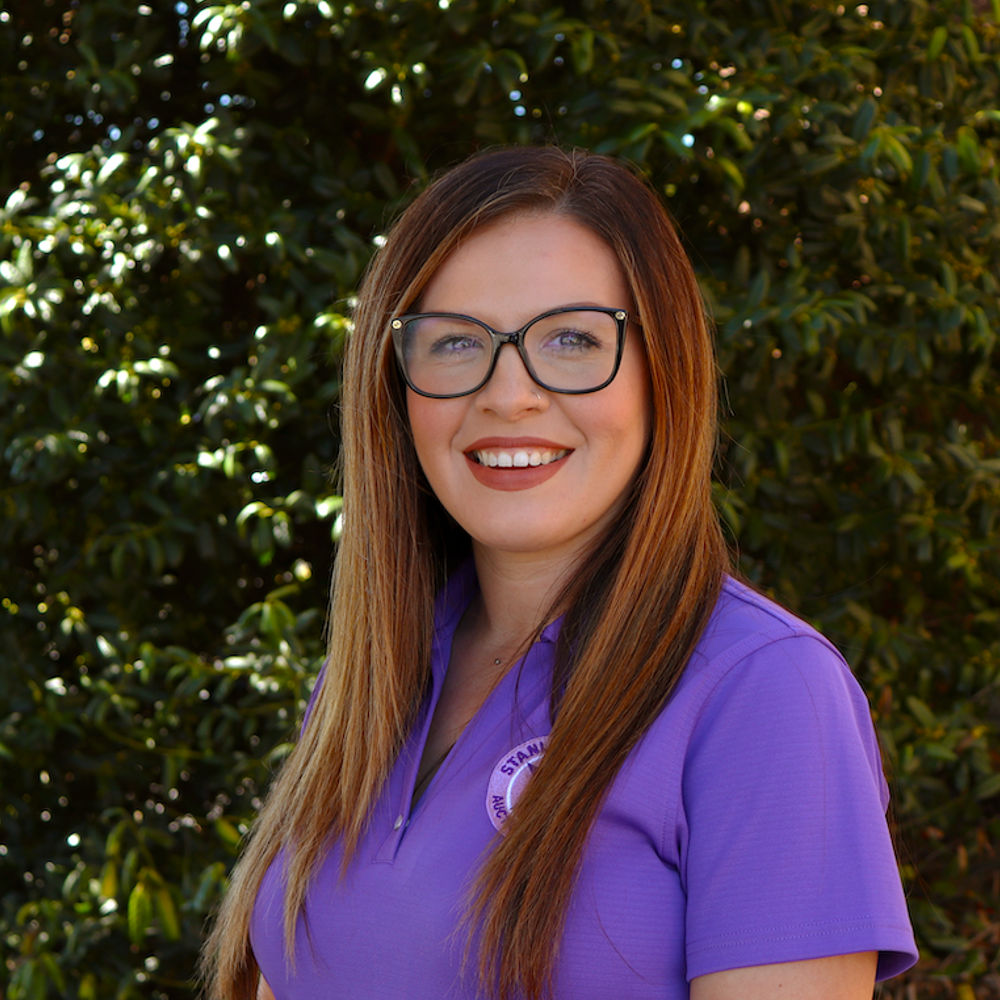 Directory Carolina Auto Auction