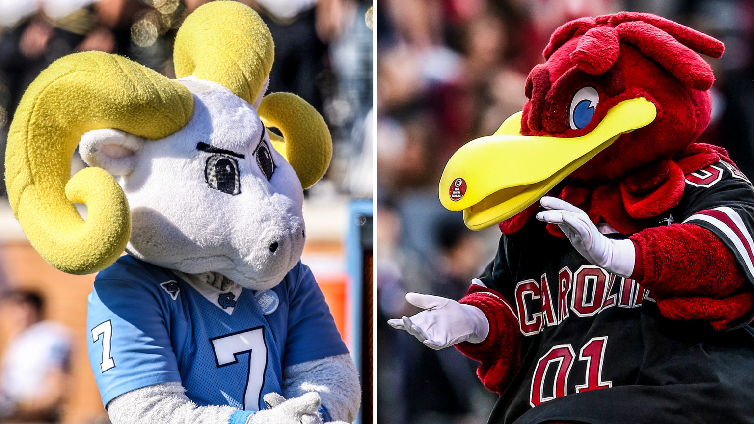 North Carolina and South Carolina Will Face Off in 2021 Duke's Mayo