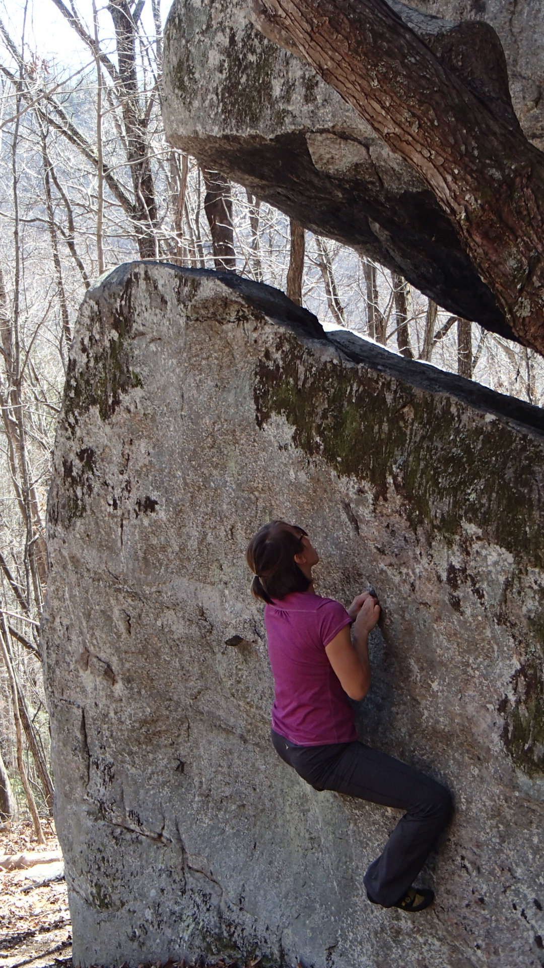 Climbing Areas Carolina Climbers Coalition