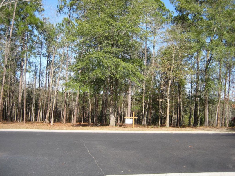 Land for Sale in Aiken County Farm Land for Sale in Aiken SC