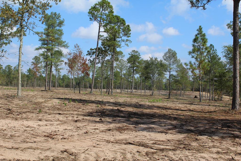 Land for Sale in Aiken County Farm Land for Sale in Aiken SC