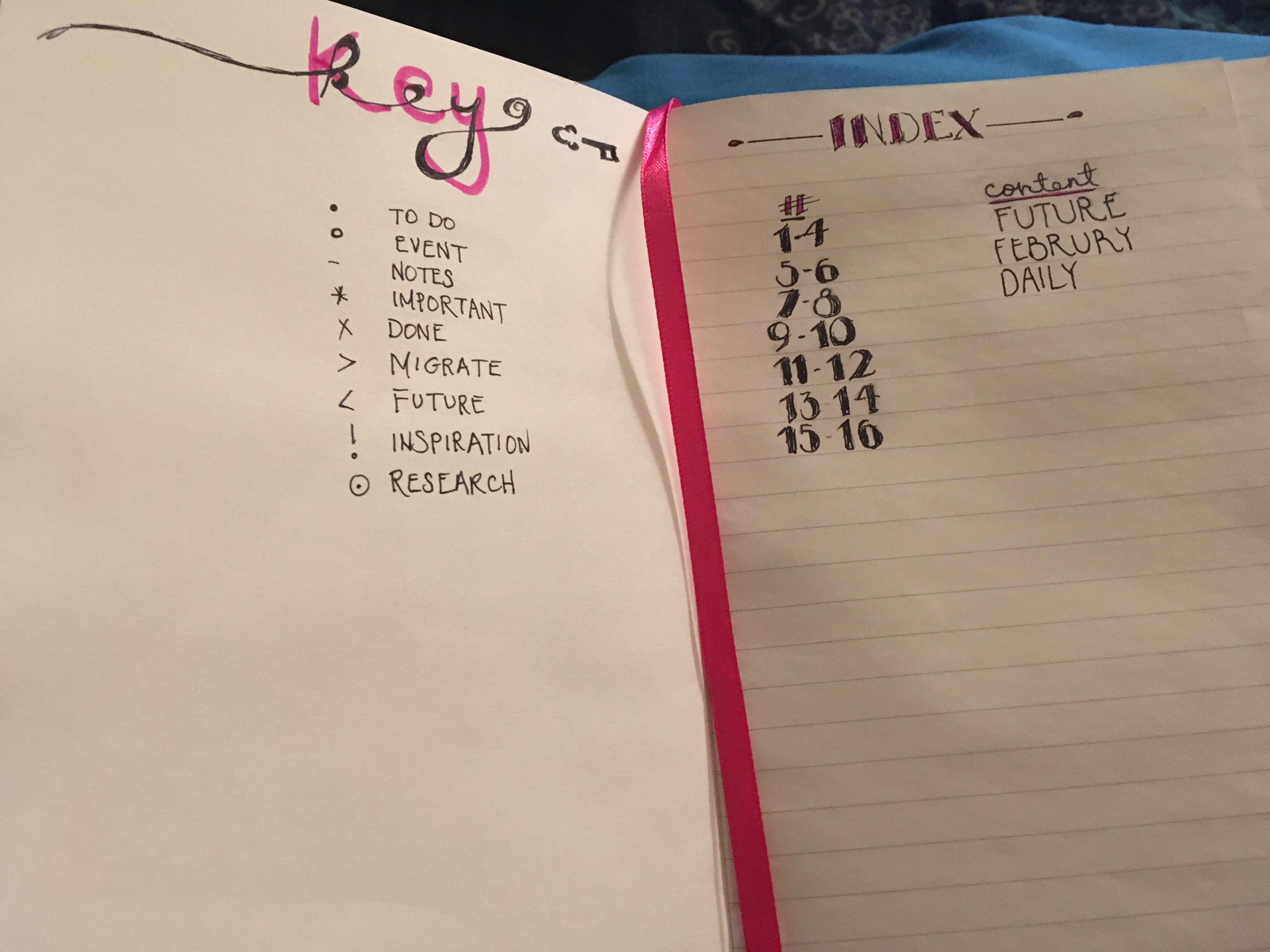 Hot Pink Journal Carolina Ct