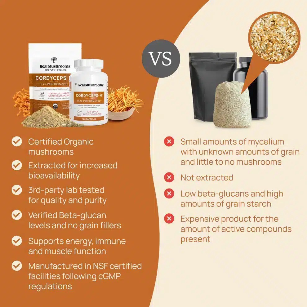 Real Mushrooms Organic Cordyceps Extract Capsules GlutenFree